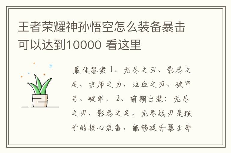 王者荣耀神孙悟空怎么装备暴击可以达到10000 看这里