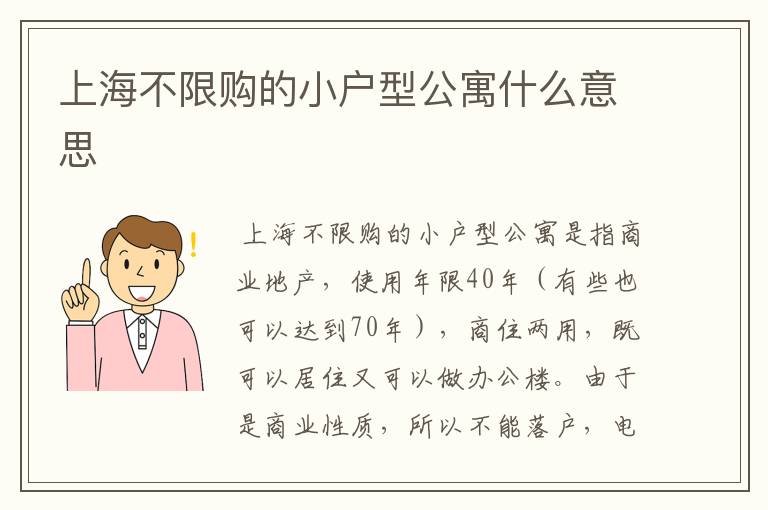 上海不限购的小户型公寓什么意思