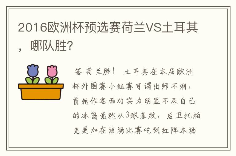 2016欧洲杯预选赛荷兰VS土耳其，哪队胜？