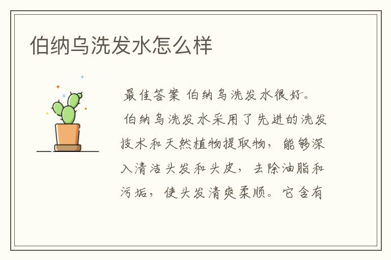 伯纳乌洗发水怎么样