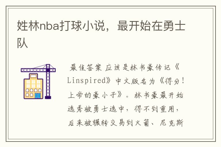 姓林nba打球小说，最开始在勇士队