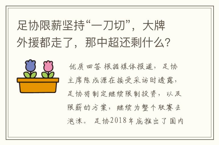 足协限薪坚持“一刀切”，大牌外援都走了，那中超还剩什么？