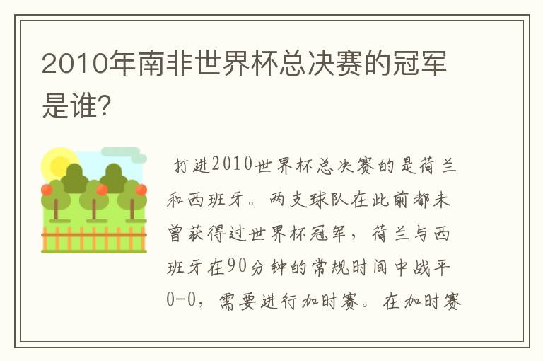 2010年南非世界杯总决赛的冠军是谁？