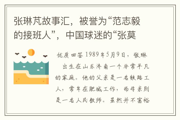 张琳芃故事汇，被誉为“范志毅的接班人”，中国球迷的“张莫斯”