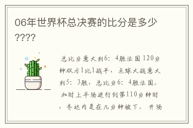 06年世界杯总决赛的比分是多少????