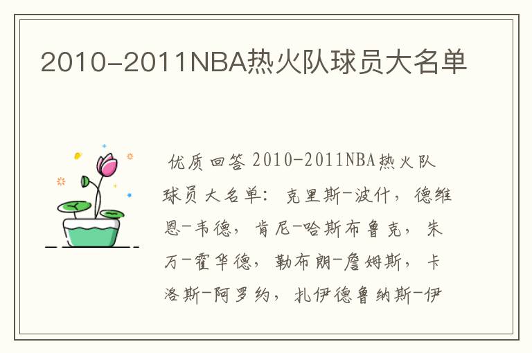 2010-2011NBA热火队球员大名单