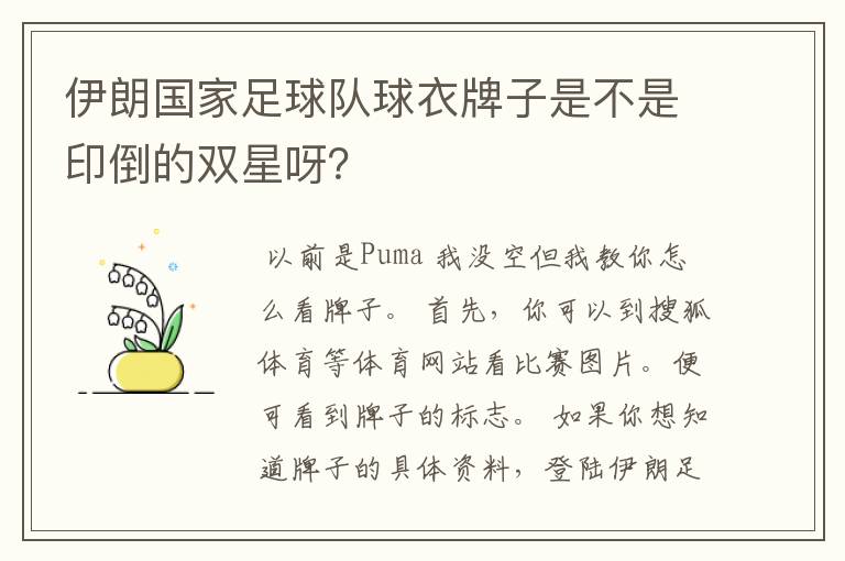 伊朗国家足球队球衣牌子是不是印倒的双星呀？