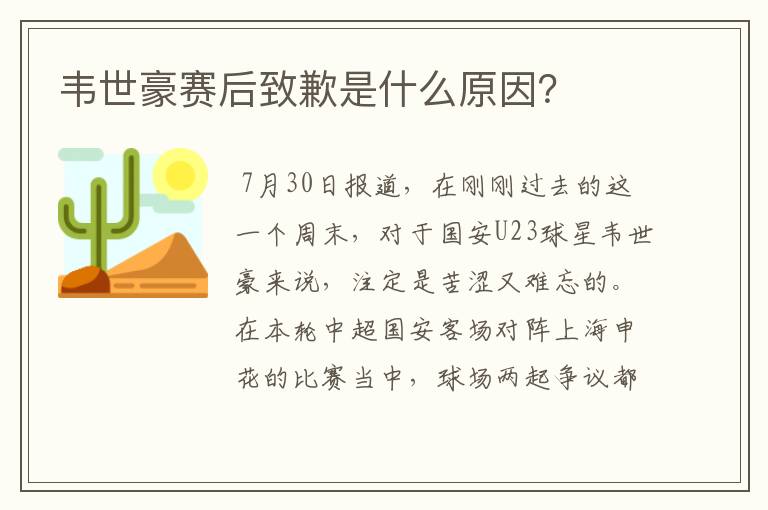 韦世豪赛后致歉是什么原因？