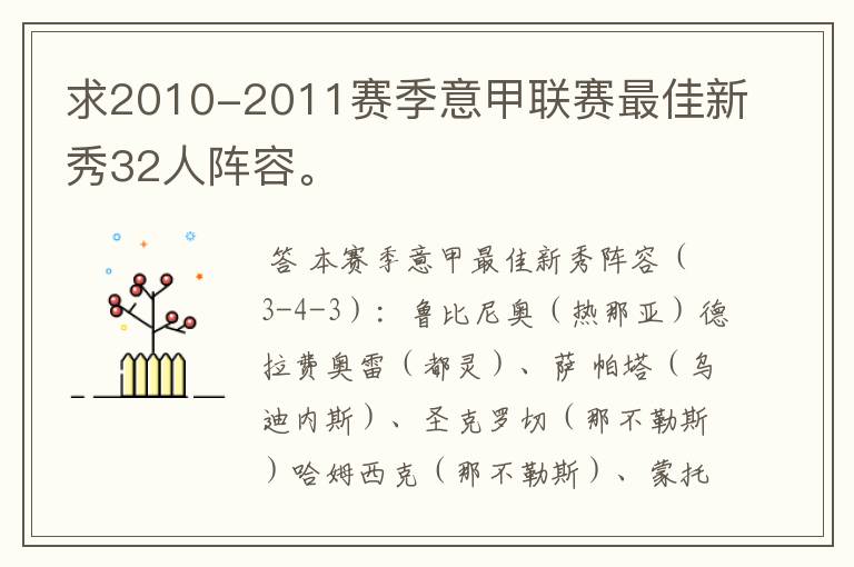 求2010-2011赛季意甲联赛最佳新秀32人阵容。