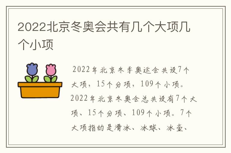 2022北京冬奥会共有几个大项几个小项