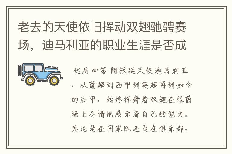 老去的天使依旧挥动双翅驰骋赛场，迪马利亚的职业生涯是否成功？