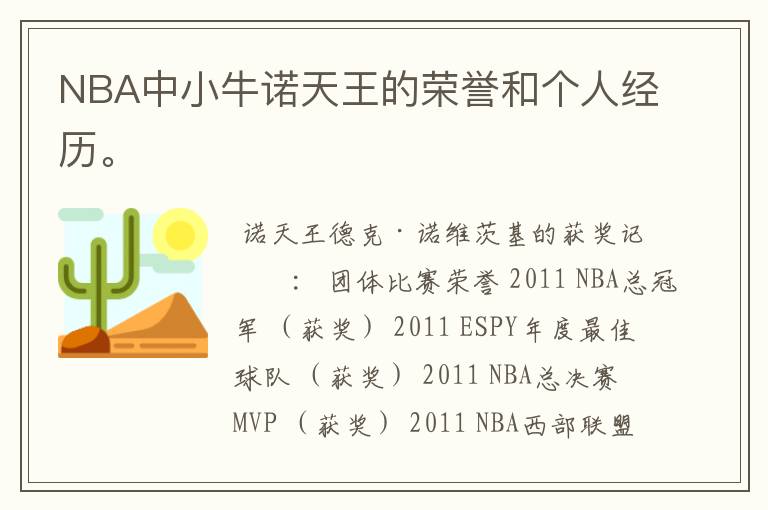 NBA中小牛诺天王的荣誉和个人经历。