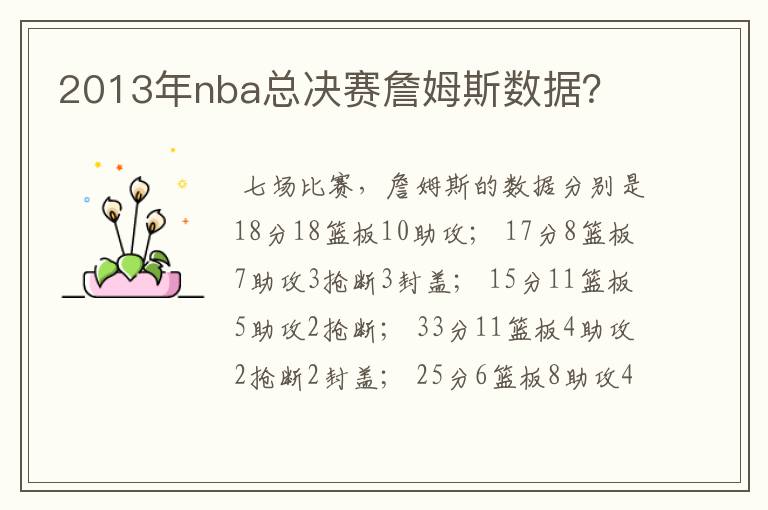 2013年nba总决赛詹姆斯数据？