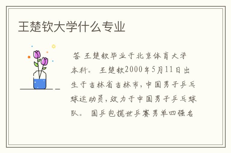 王楚钦大学什么专业