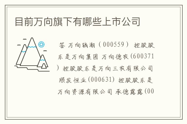 目前万向旗下有哪些上市公司