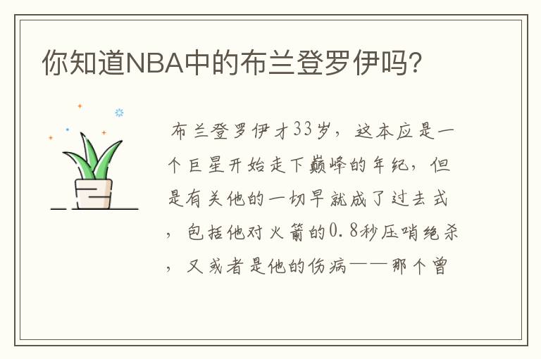 你知道NBA中的布兰登罗伊吗？