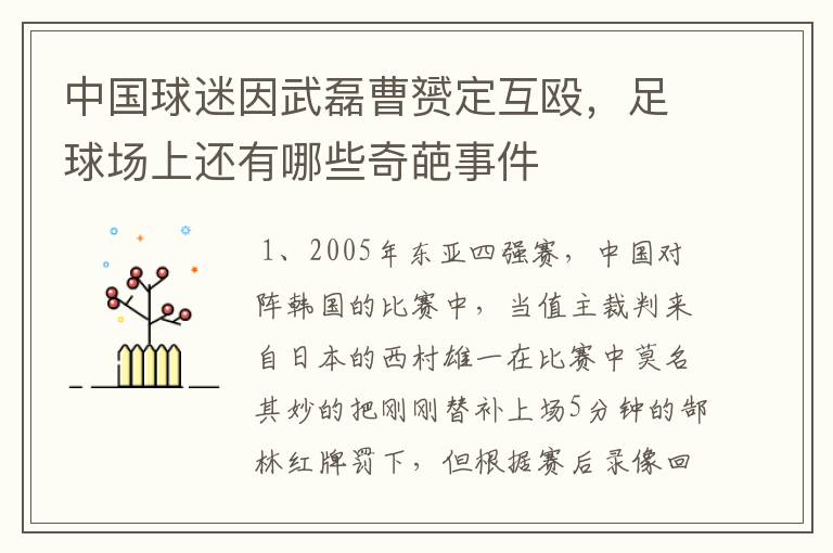 中国球迷因武磊曹赟定互殴，足球场上还有哪些奇葩事件