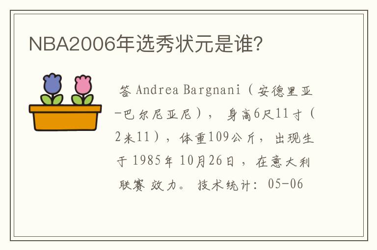 NBA2006年选秀状元是谁？