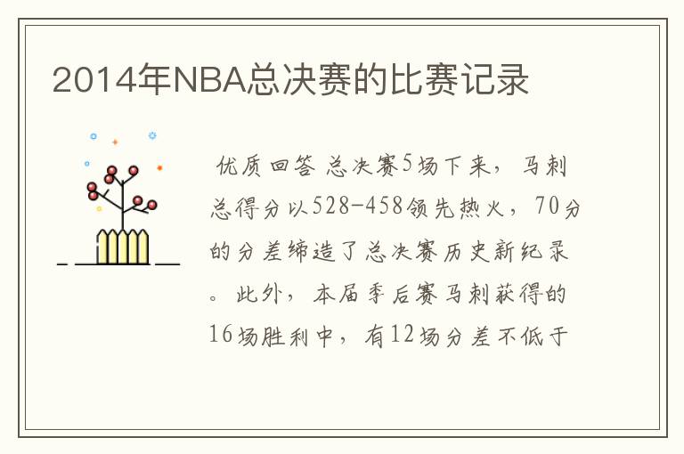 2014年NBA总决赛的比赛记录