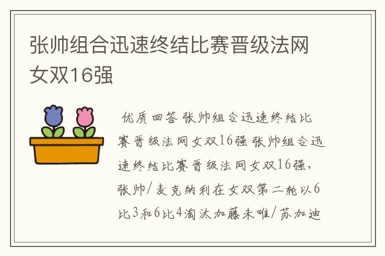 张帅组合迅速终结比赛晋级法网女双16强