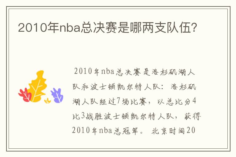 2010年nba总决赛是哪两支队伍？