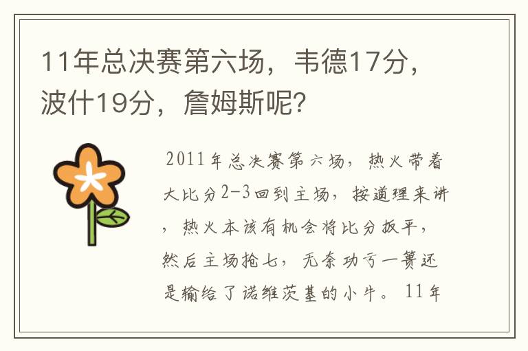 11年总决赛第六场，韦德17分，波什19分，詹姆斯呢？