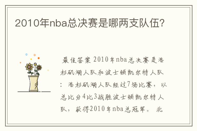 2010年nba总决赛是哪两支队伍？