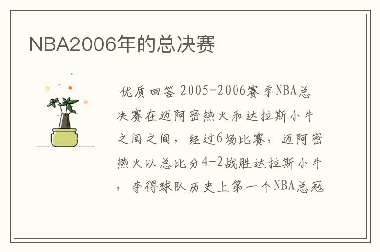 NBA2006年的总决赛