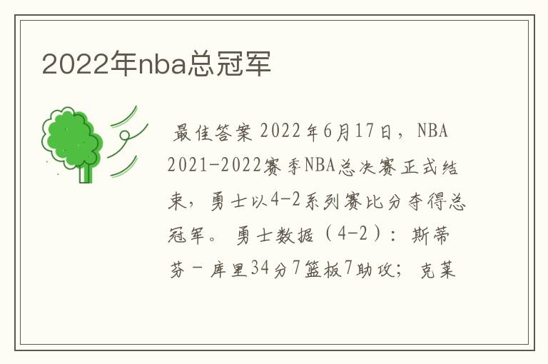 2022年nba总冠军