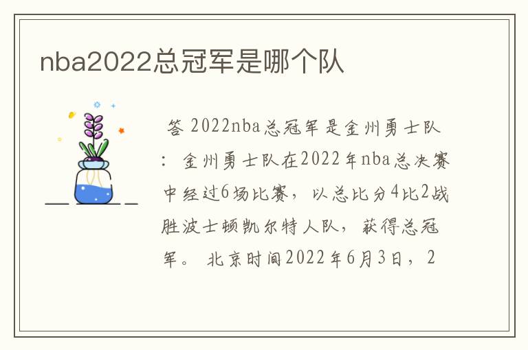 nba2022总冠军是哪个队