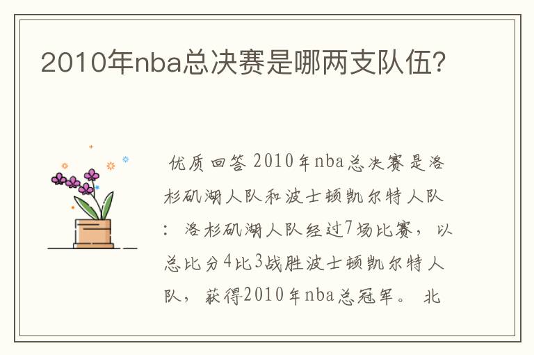 2010年nba总决赛是哪两支队伍？