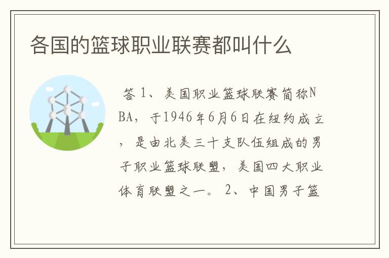 各国的篮球职业联赛都叫什么