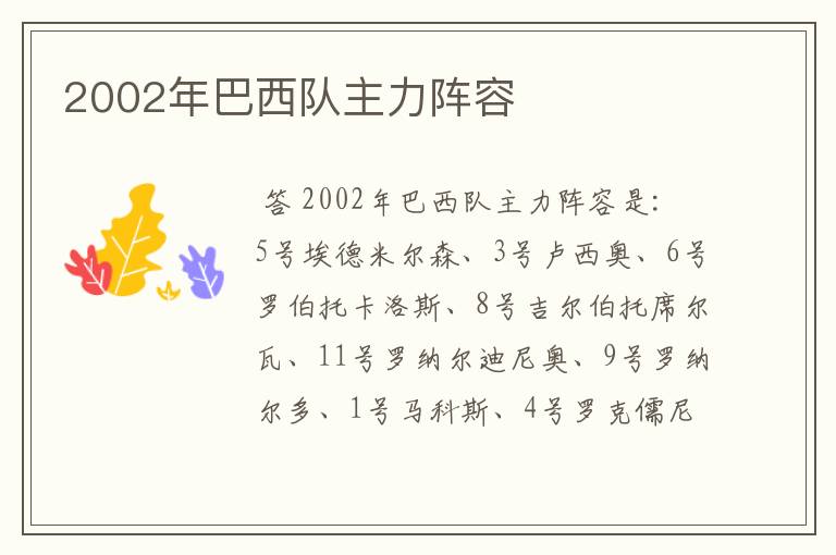 2002年巴西队主力阵容