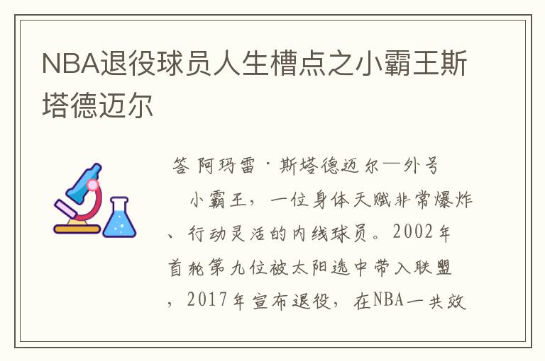 NBA退役球员人生槽点之小霸王斯塔德迈尔