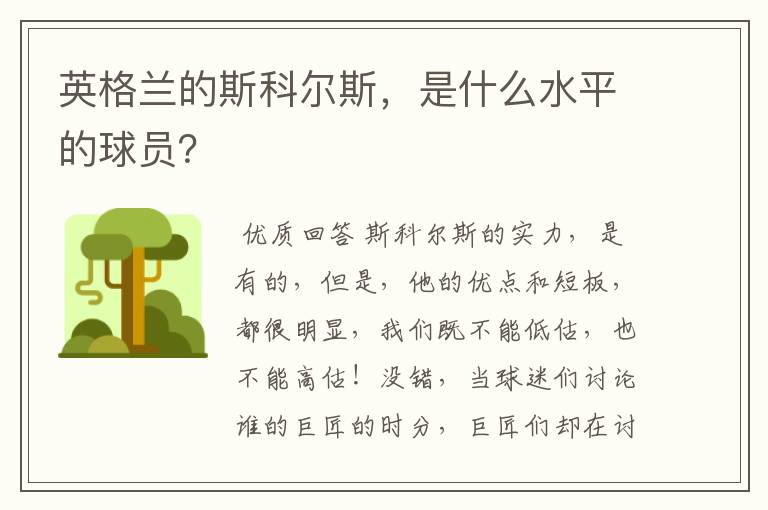 英格兰的斯科尔斯，是什么水平的球员？