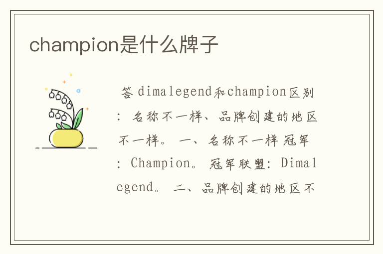 champion是什么牌子