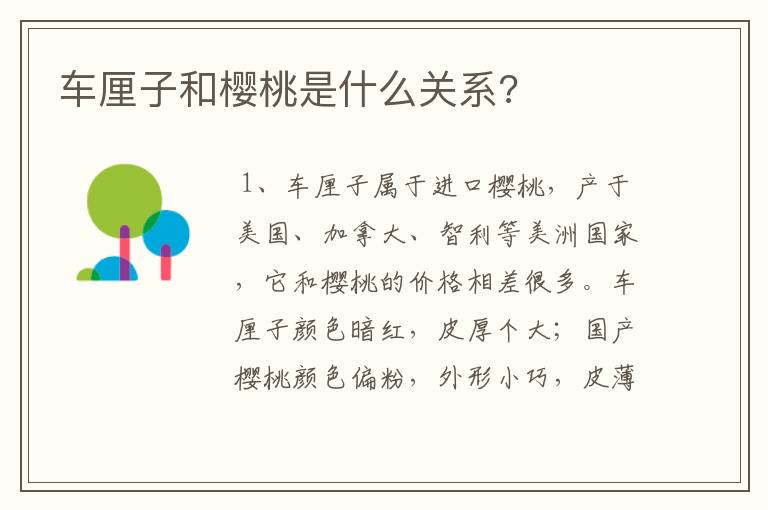 车厘子和樱桃是什么关系?