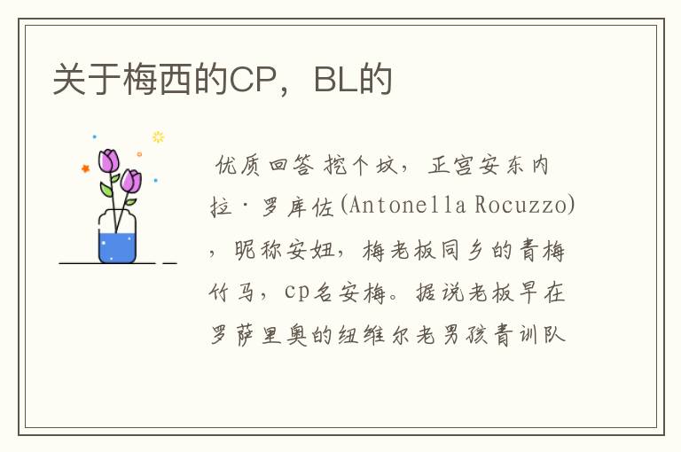 关于梅西的CP，BL的