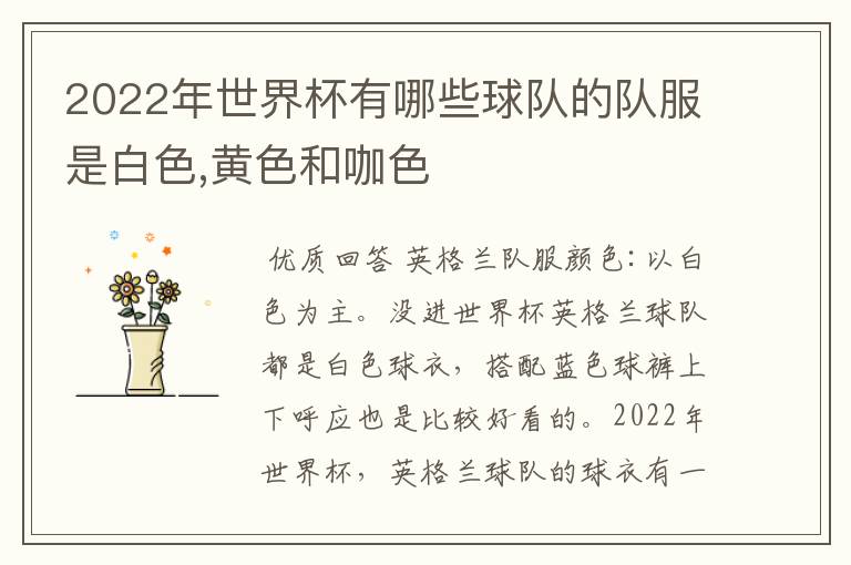 2022年世界杯有哪些球队的队服是白色,黄色和咖色