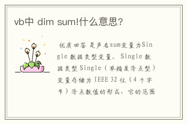 vb中 dim sum!什么意思?