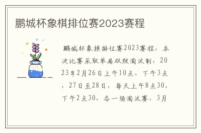 鹏城杯象棋排位赛2023赛程