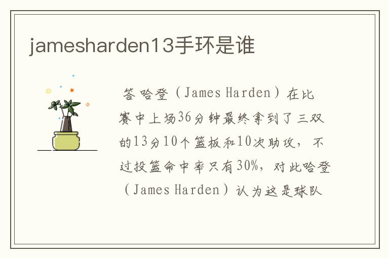 jamesharden13手环是谁