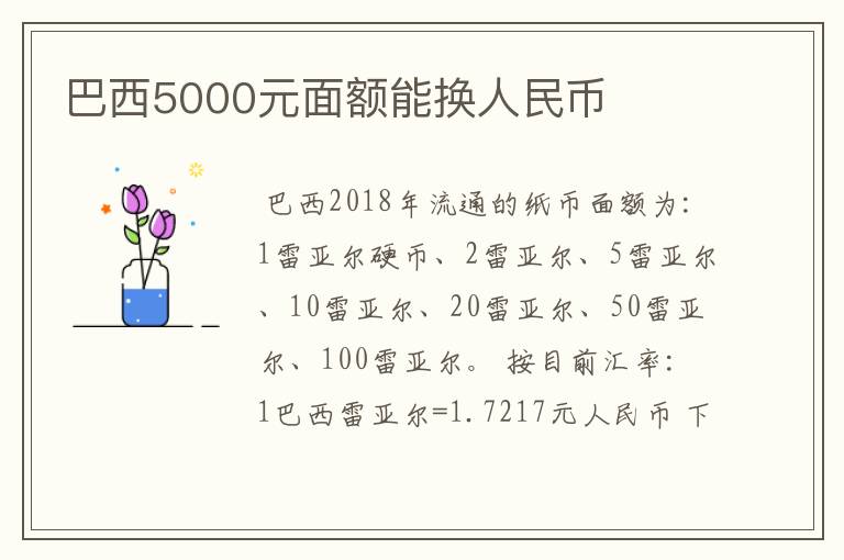 巴西5000元面额能换人民币