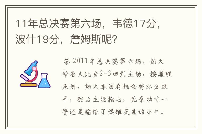 11年总决赛第六场，韦德17分，波什19分，詹姆斯呢？