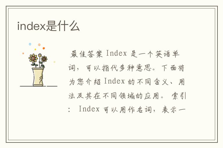 index是什么