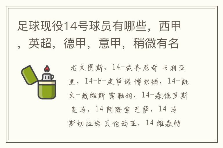 足球现役14号球员有哪些，西甲，英超，德甲，意甲，稍微有名气点的。 除了沃尔科特，埃尔南德斯，莫得里奇