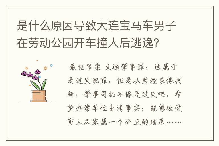 是什么原因导致大连宝马车男子在劳动公园开车撞人后逃逸？