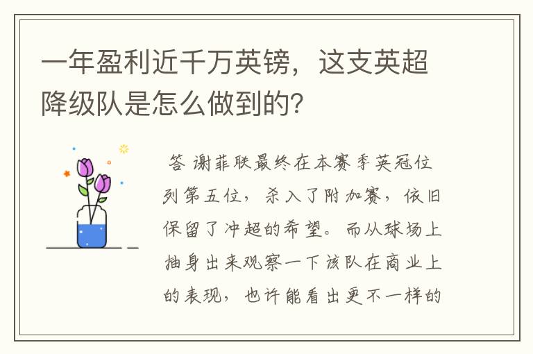 一年盈利近千万英镑，这支英超降级队是怎么做到的？