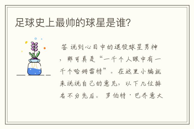 足球史上最帅的球星是谁？