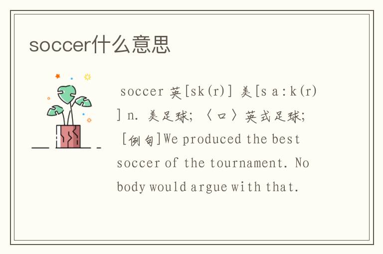 soccer什么意思